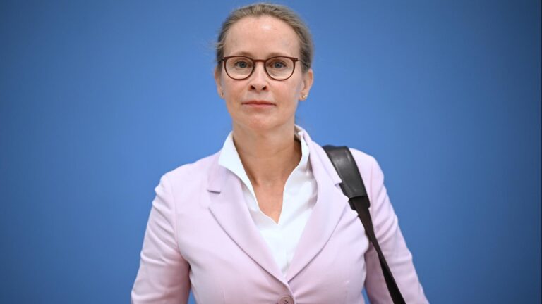 frauke brosius gersdorf plagiatsvorwürfe